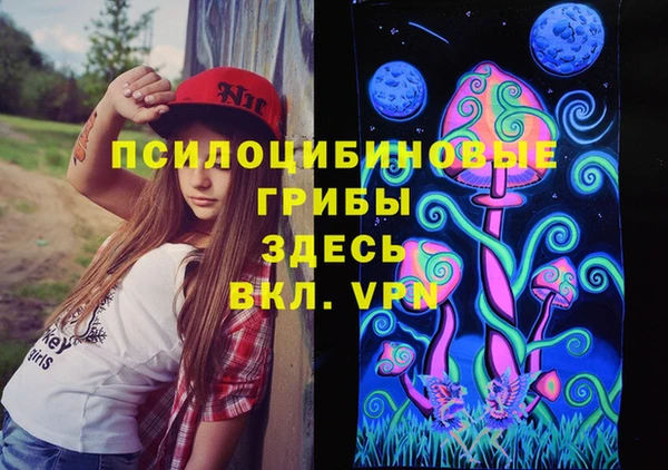 МДПВ Армянск