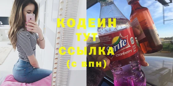 индика Болхов