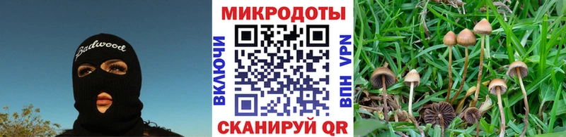 маркетплейс формула  Колпашево  Псилоцибиновые грибы ЛСД 